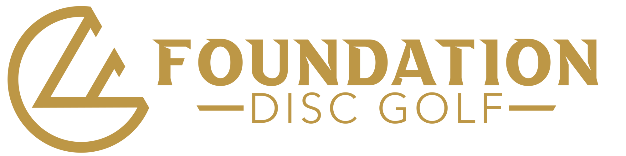 Need Help Deciding? Foundation Disc Golf